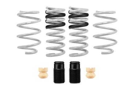 Eibach Drag-Launch Springs ( 2015-2025 GT w/o MagneRide )